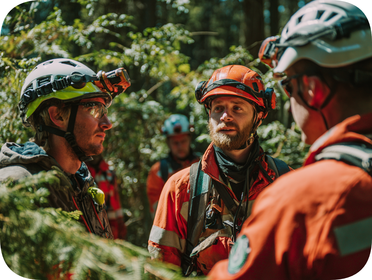 Tree trimming service